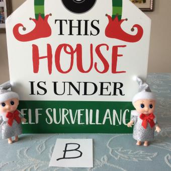 Baby Elf ‘B’ Silver
