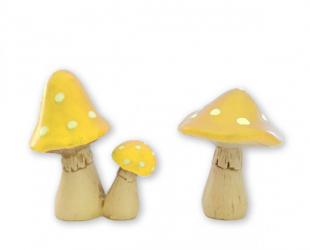  mushrooms